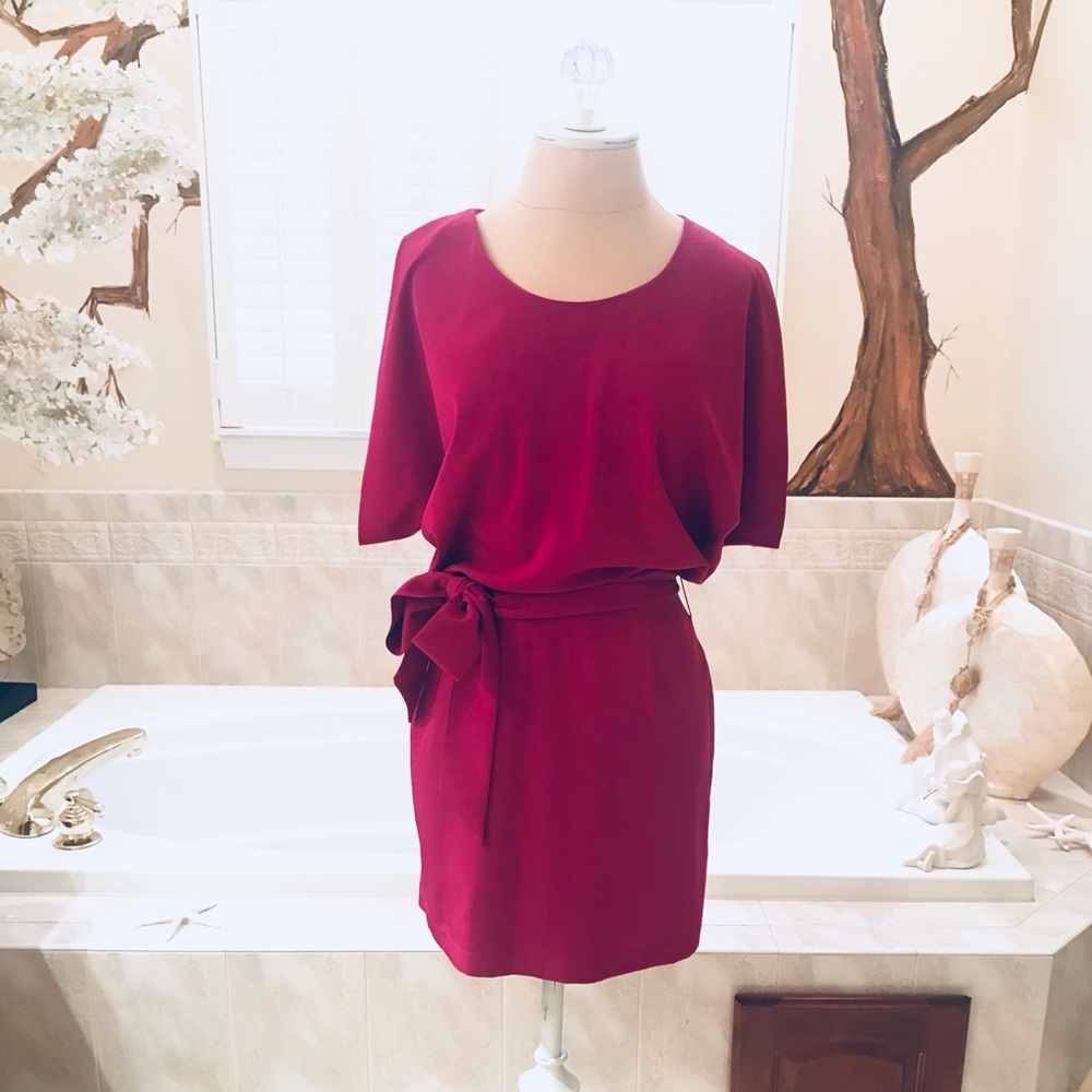 Pookie and Sebastian open back dress